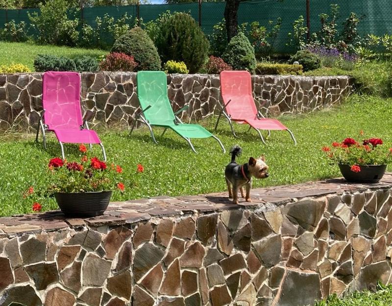 Vila Marko Nova Lesna Ngoại thất bức ảnh